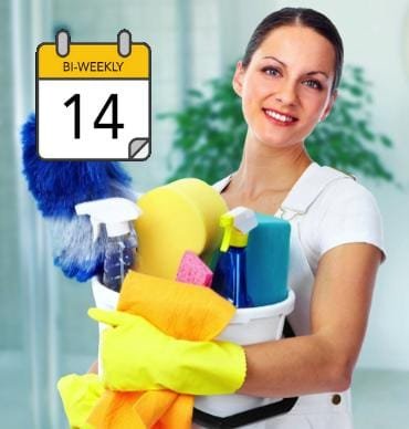 Fortnightly Cleaning Service